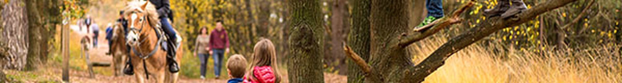 2021_herfst.jpg