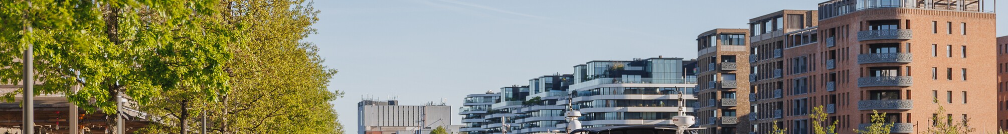 quartier bleu