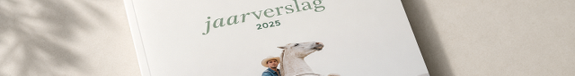 Mock-up jaarverslag 2025