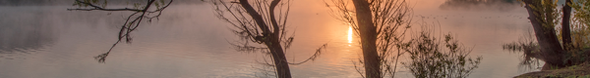 3f255b33-7764-4f2b-bdc8-bbd96cd02308.png