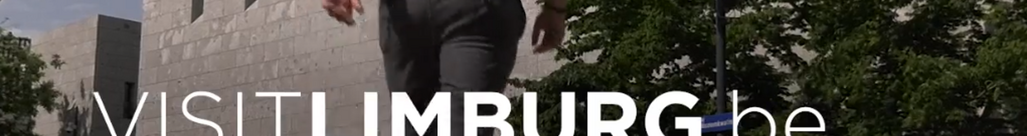 avs.png