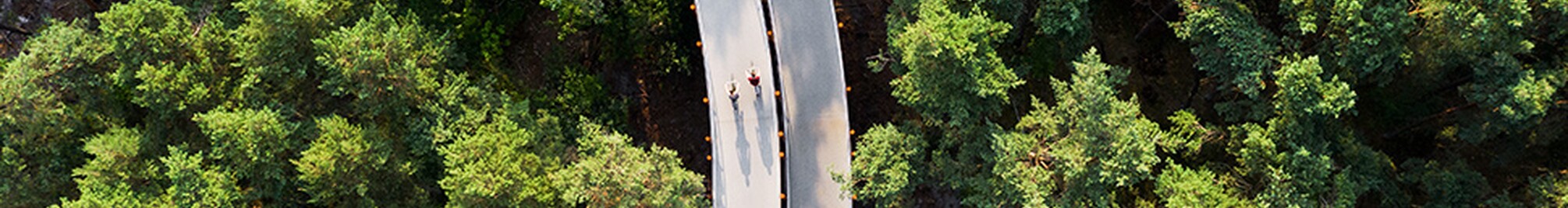 best_of_2021_cycling_through_trees1.jpg
