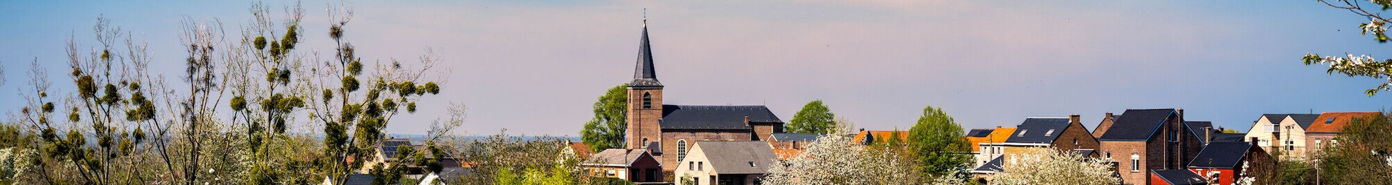 bloesems_2020_zuid_limburg_ld_2891.jpg