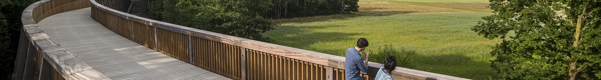 fietsen_door_de_heide.jpg
