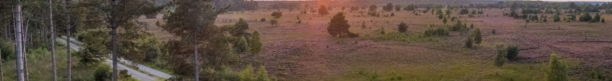 fietsen_door_de_heide_mechelse_heide.png