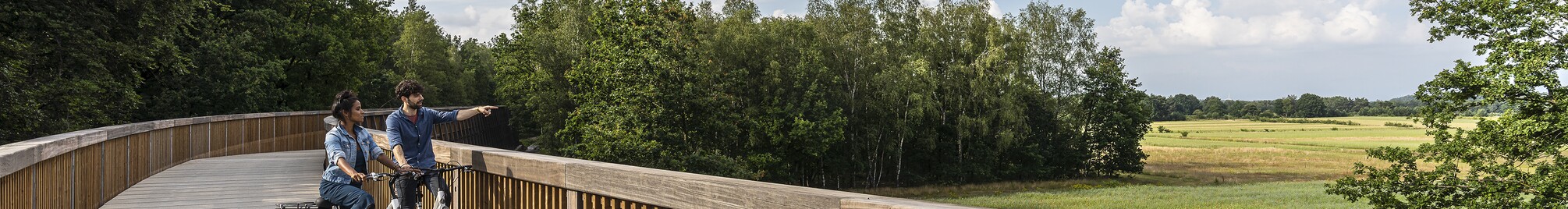 fietsen_door_de_heide_nationaal_park_hoge_kempen_fietsbelevingen.jpg