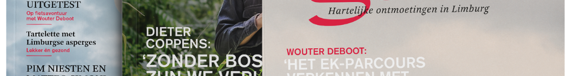 gast_bevraging_nieuwsbrief.png