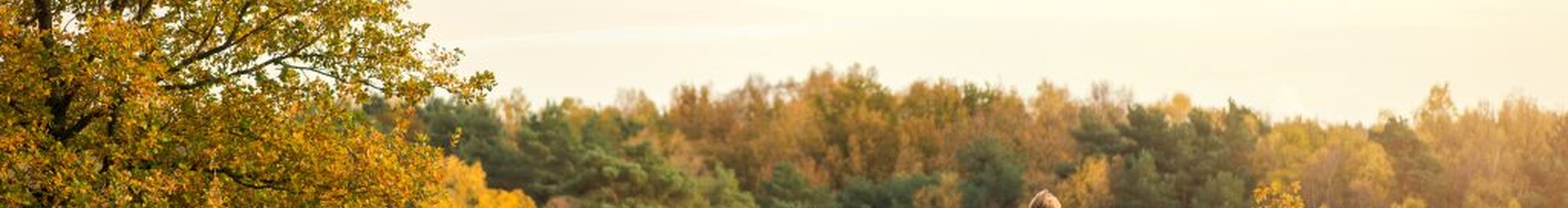 herfstvakantiebevraging_zonhoven_de_teut.jpg