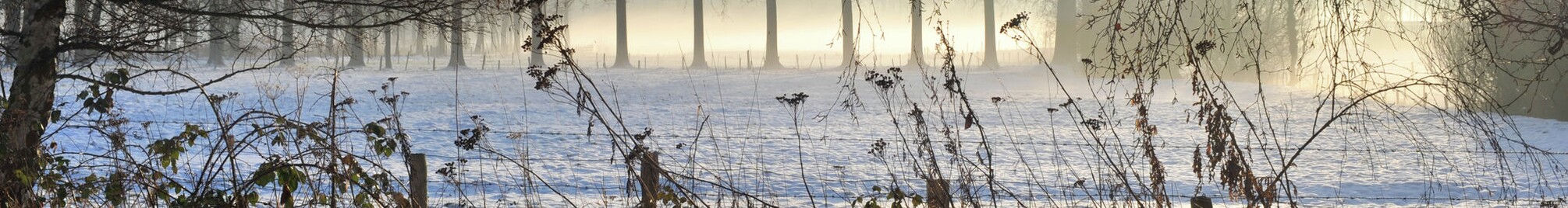 landschapsfoto.jpg