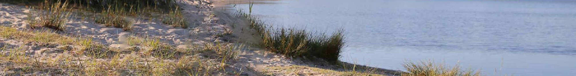 no_matteo_affiche_verleng-je-zomer-in-limburg.jpg