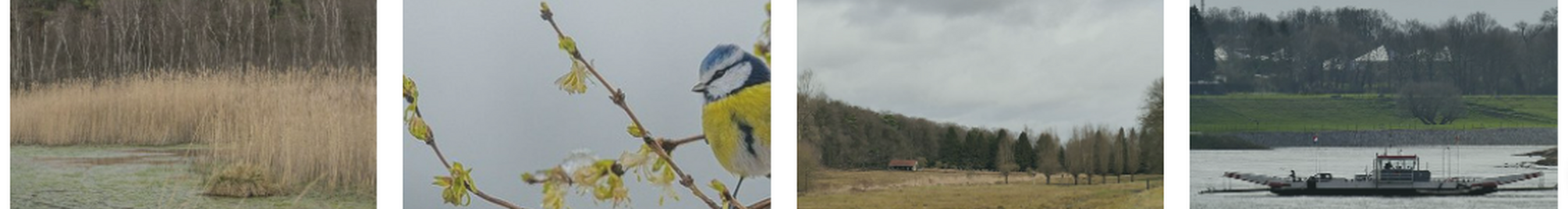 op_de_kalender.png