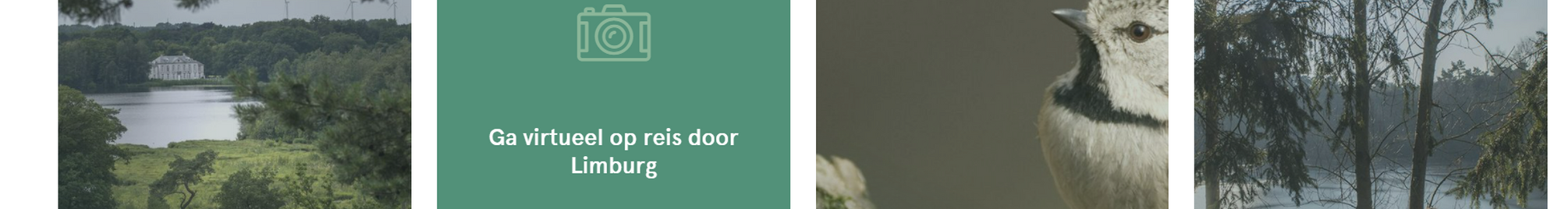 visitlimburg.be_blog.png