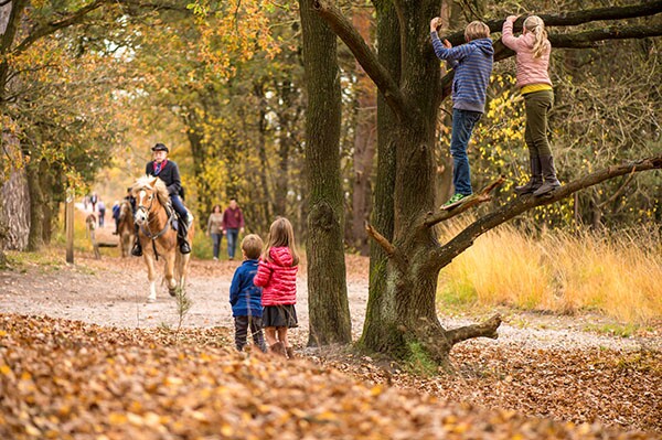 2021_herfst.jpg