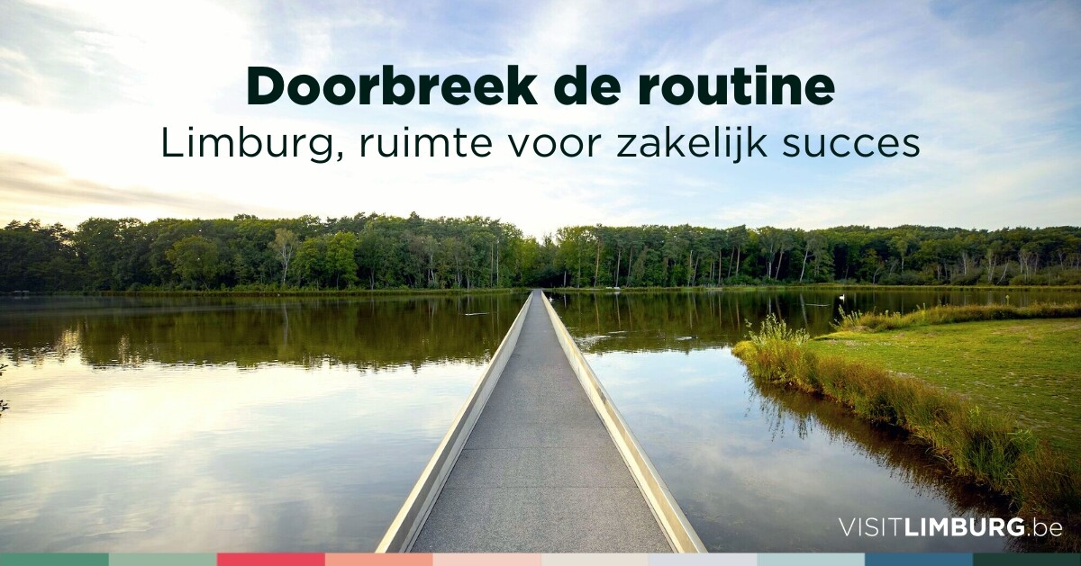 be-limburg_ruimte_voor_zakelijk_succes_horizontaal_v2.jpg