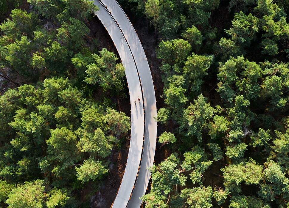 best_of_2021_cycling_through_trees1.jpg