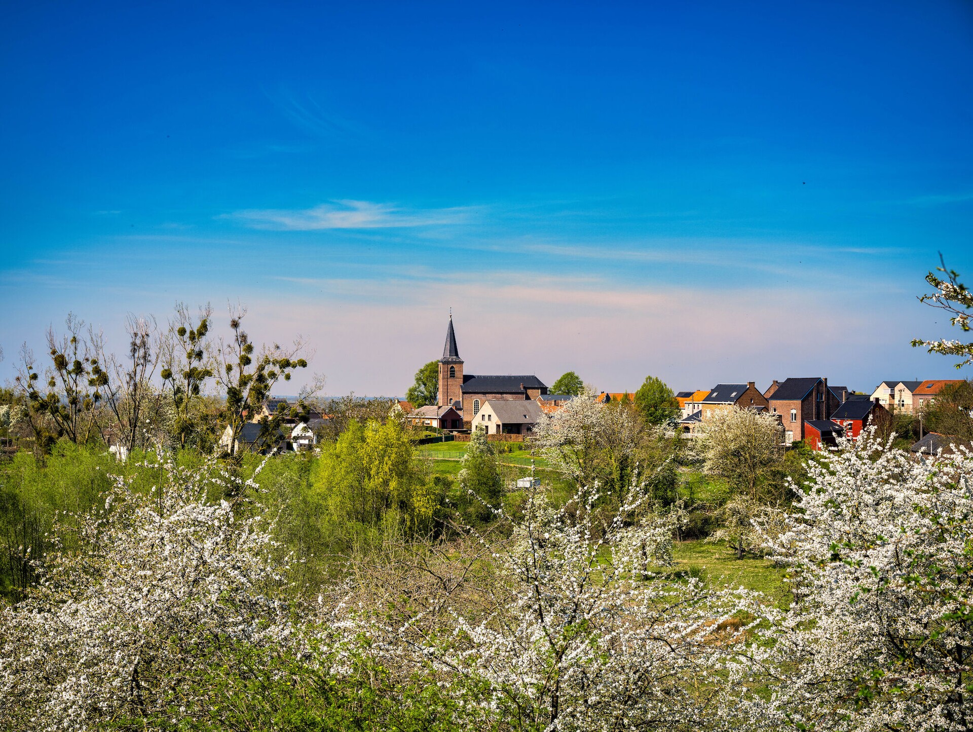 bloesems_2020_zuid_limburg_ld_2891.jpg