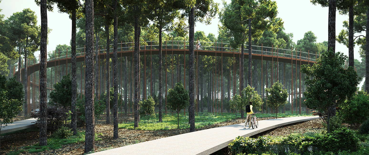 bosland-fietsen-door-de-bomen-header.png