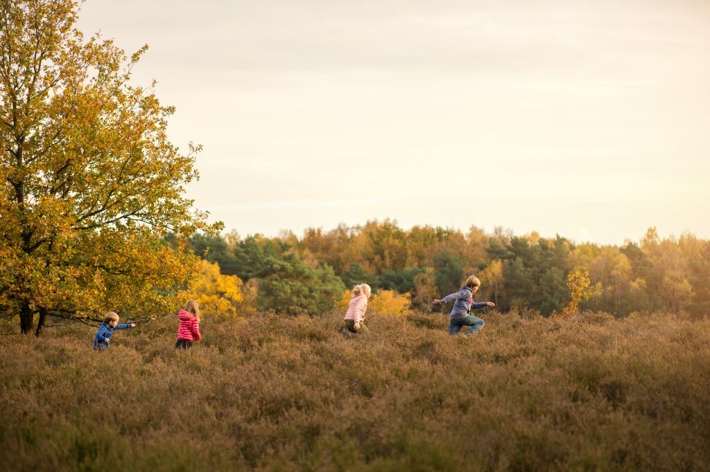 herfstvakantiebevraging_zonhoven_de_teut.jpg