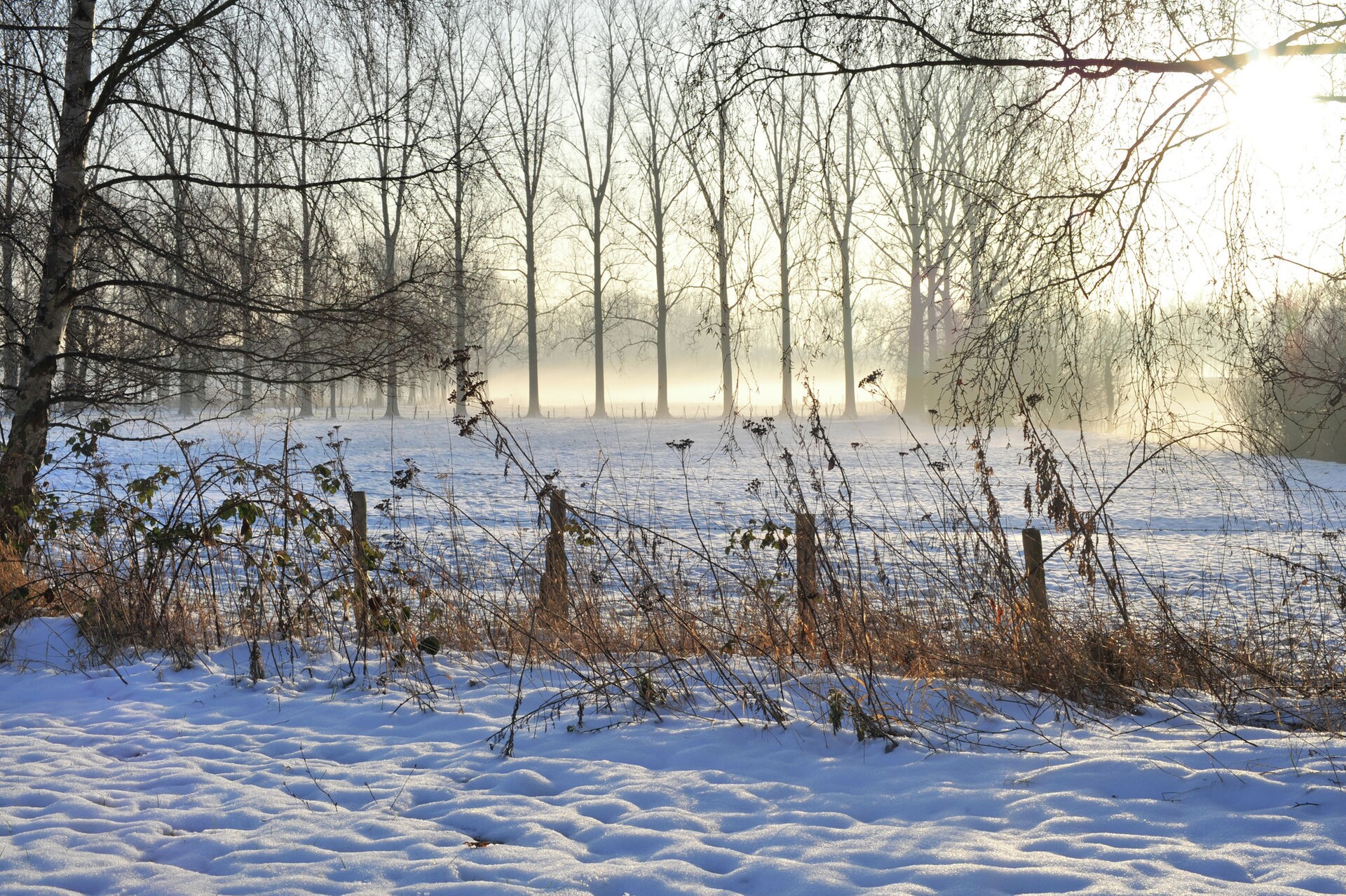 landschapsfoto.jpg