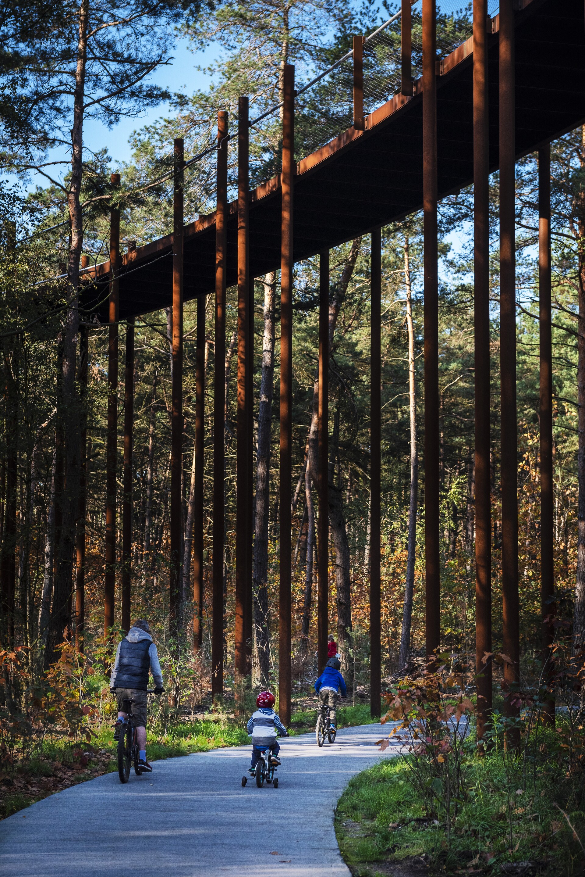 noord-limburg_-_fietsen_door_de_bomen_c_jonathan_ramael-10.jpg