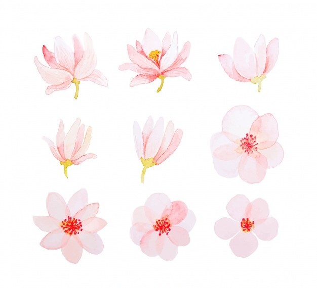 pink-watercolor-spring-flower-collection_23-2147754326.jpg