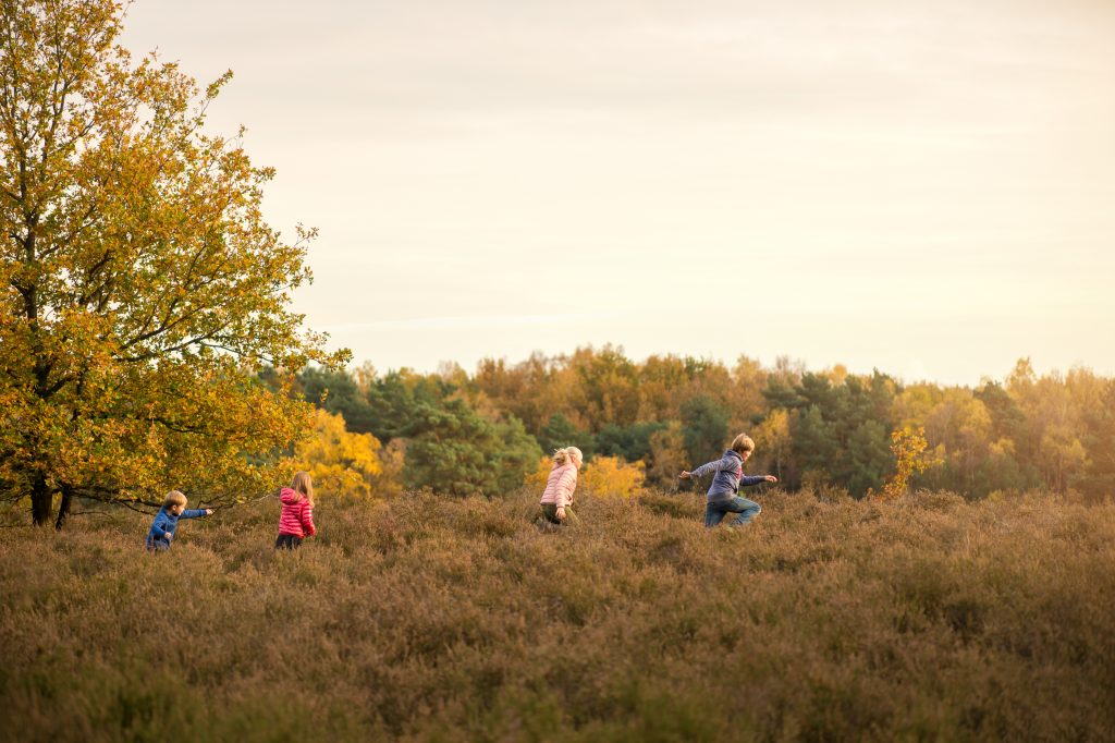 Herfstvakantiebevraging - Zonhoven - De Teut