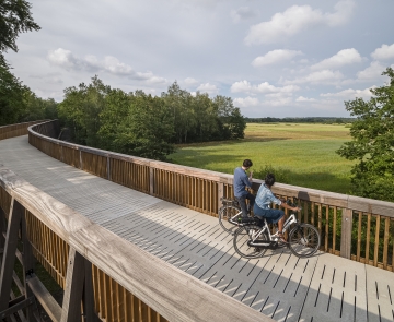 Fietsen door de Heide - Nationaal Park Hoge Kempen