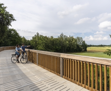 Fietsen door de Heide - Nationaal Park Hoge Kempen