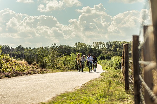 Vakantiebevraging augustus - fietsen in Limburg